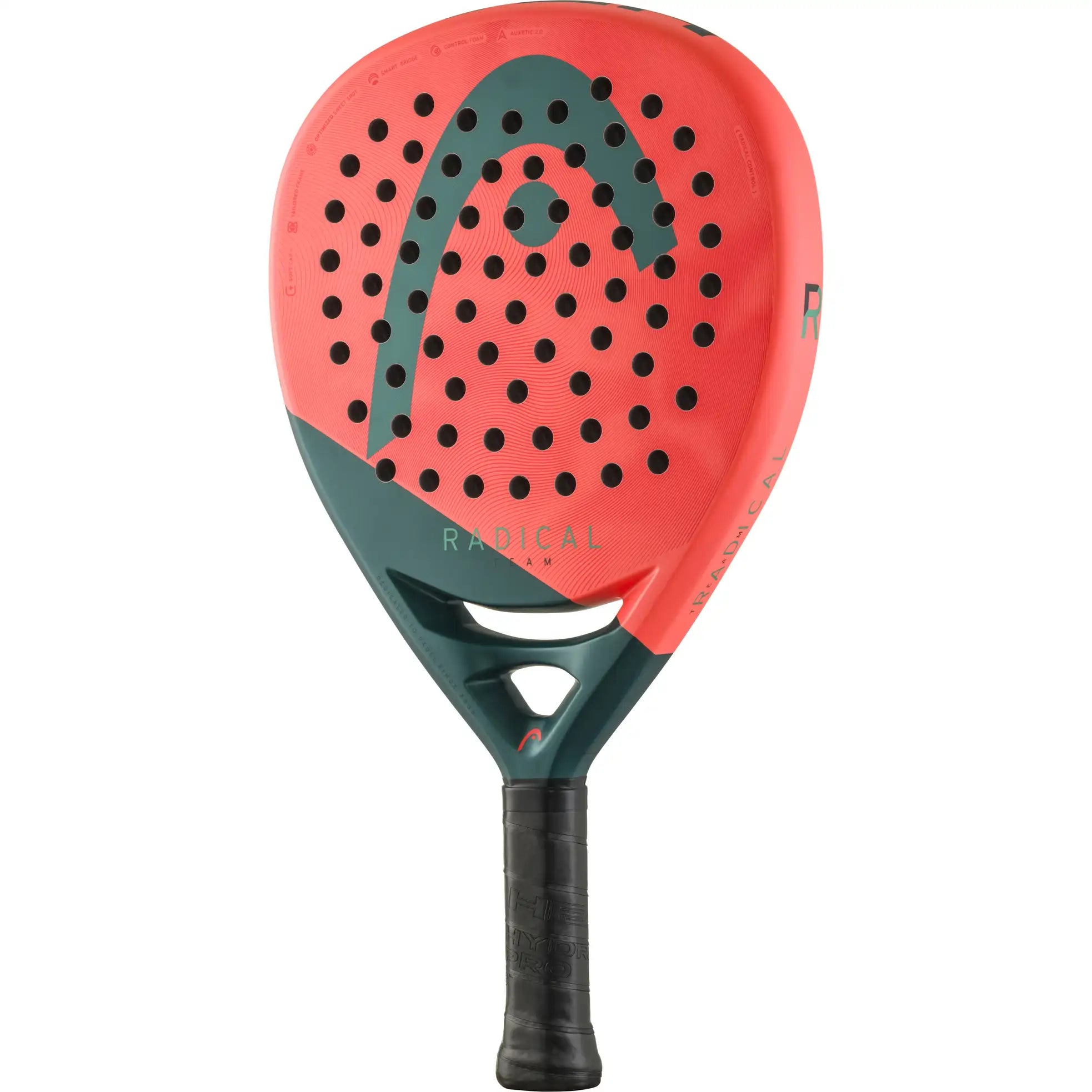 Head Radical Team 2026