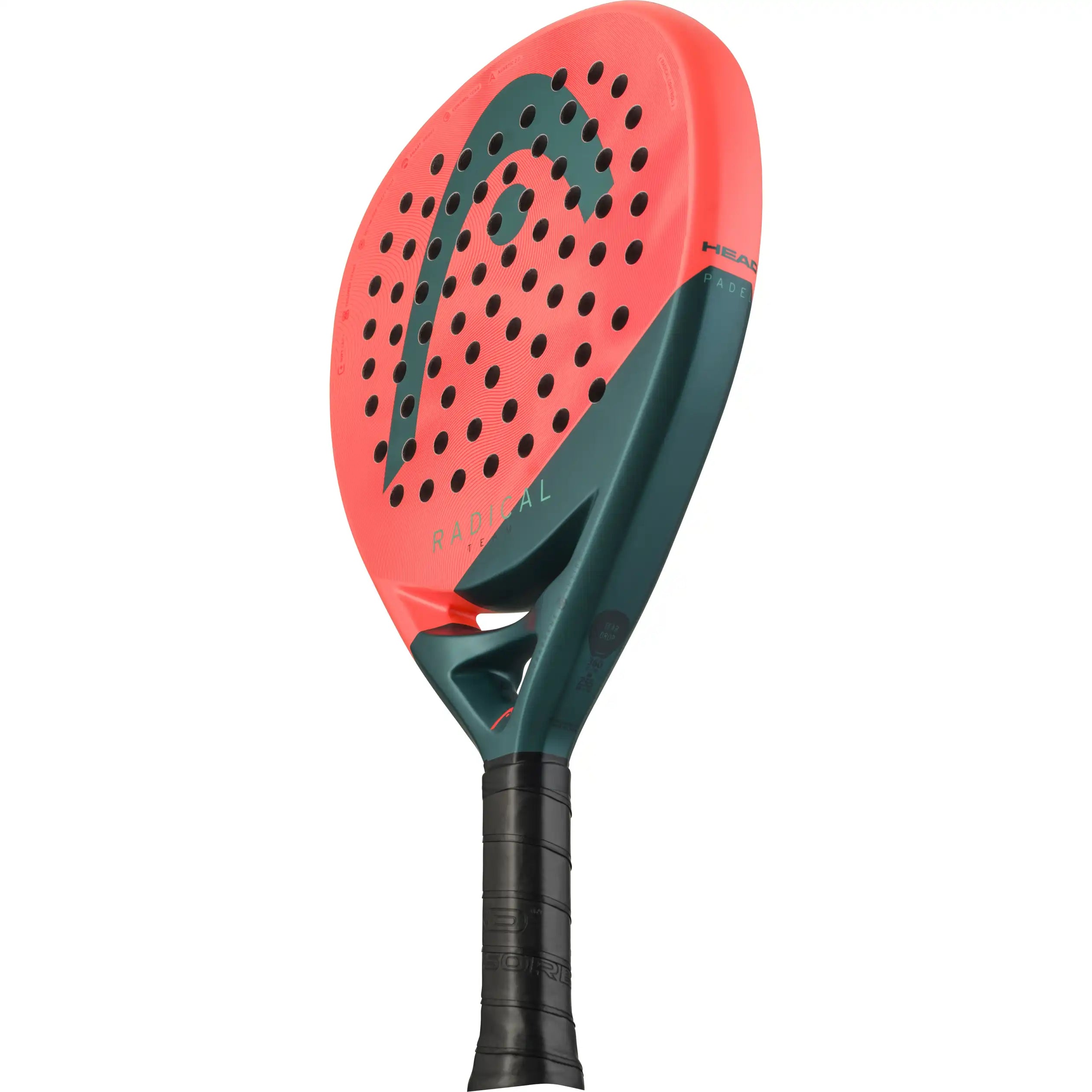 Head Radical Team 2026